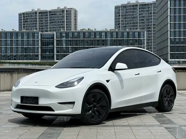 Tesla Model Y Model Y 2023 Long-Range All-Wheel Drive Version — фото