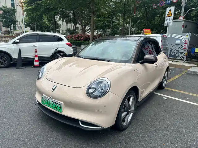 Euler Euler Good Cat Euler Good Cat 2021 Model 400km Standard Battery Life Athena Version Ternary Lithium — фото