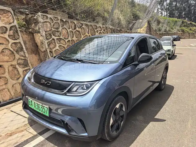Byd Dolphin Dolphin 2025 420km Free Edition — фото