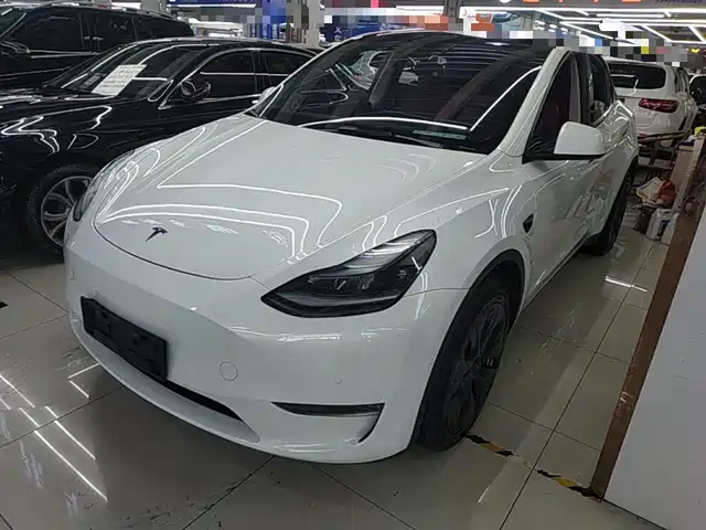 Tesla Model Y Model Y 2023 Long-Range All-Wheel Drive Version — фото