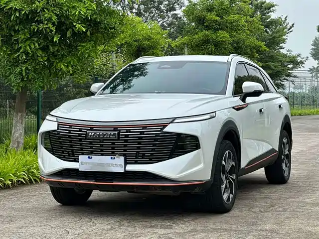 Harvard Harvard Mythical Beast Haval Beast 2022 1.5t Zhizun Edition — фото