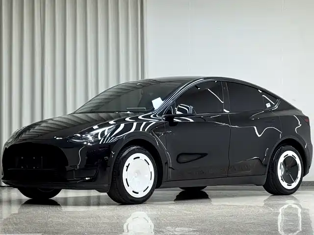 Tesla Model Y Model Y 2022 Rear-Wheel Drive Version — фото