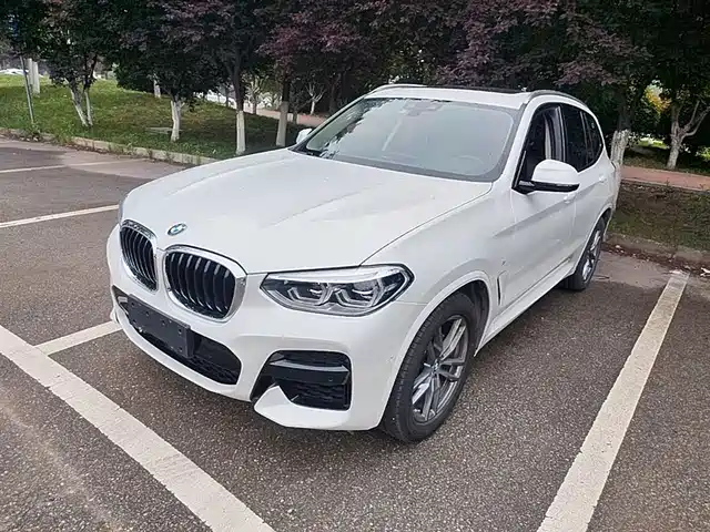 Bmw Bmw X3 Bmw X3 2020 Xdrive25i M Sports Package — фото