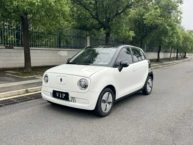 Euler Euler Black Cat Euler Black Cat 2019 310km Smart Edition — фото
