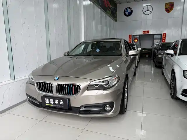 Bmw Bmw 5 Series Bmw 5 Series 2014 520li Elegant — фото