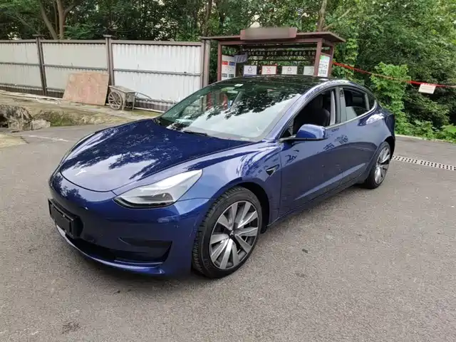 Tesla Model 3 Model 3 2022 Rear-Wheel Drive Version — фото