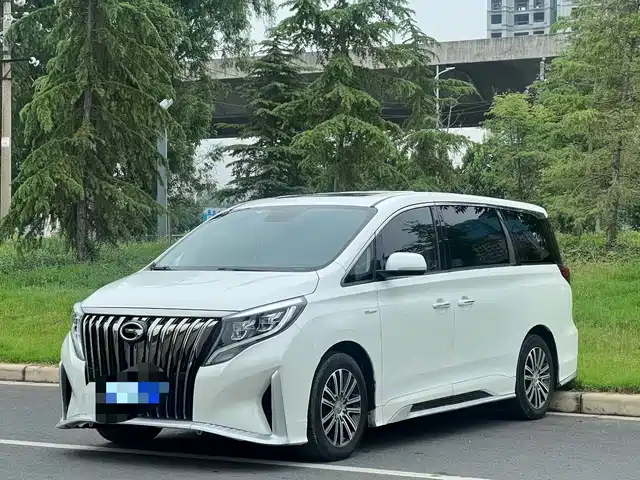 Gac Trumpchi Trumpchi M8 Trumpchi M8 2021 Master Series 390t Premium Edition — фото