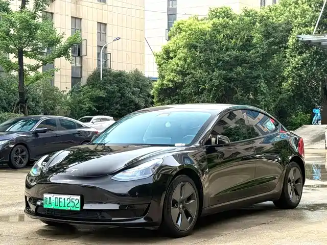 Tesla Model 3 Model 3 2021 Standard Range Rear Drive Upgraded Version — фото