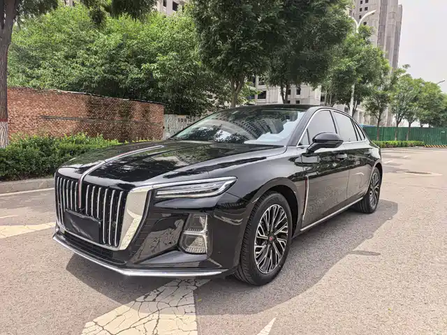 Red Flag Hongqi H5 Hongqi H5 2024 2.0t Automatic Zhilianqichang Edition — фото