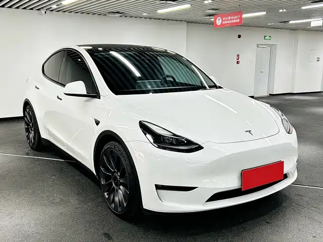 Tesla Model Y Model Y 2024 Performance High-Performance Version — фото