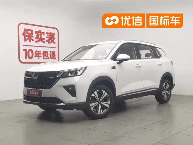 Wuling Motors Wuling Star Wuling Xingchen 2021 1.5t Manual Starlight Version