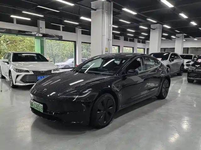 Tesla Model 3 Model 3 2025 Rear-Wheel Drive Version