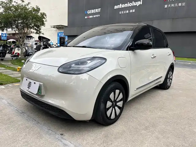 Wuling Motors Wuling Bingo 2023 Model 333km Lingxi Internet Model