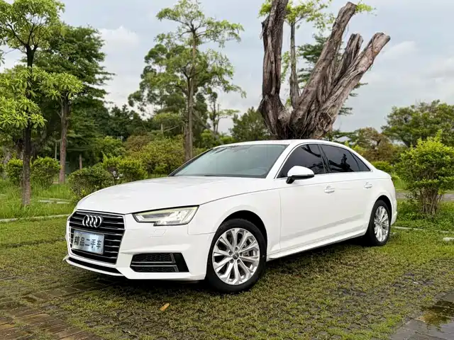 Audi Audi A4L 2019 40 TFSI Progressive (China VI)