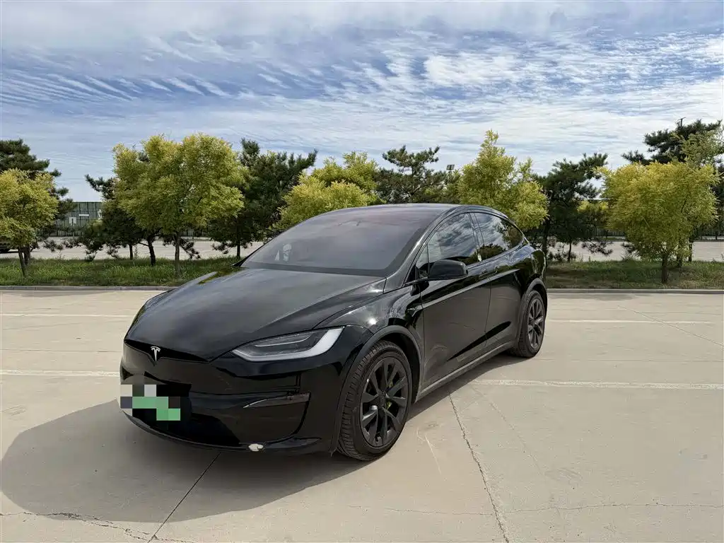 Tesla Model X 2023 г.