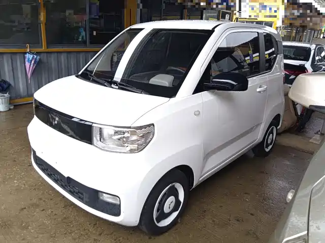 Wuling Motors Hongguang Miniev Hongguang Miniev 2020 Yuexiang Model Lithium Iron Phosphate