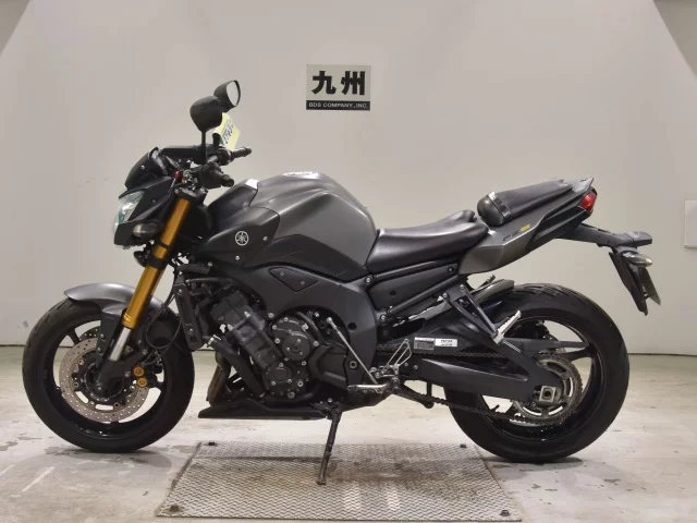 YAMAHA FZ8-NA — фото