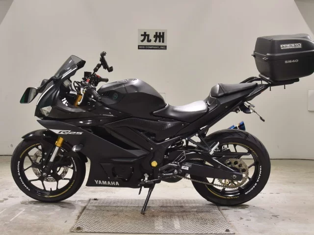 YAMAHA YZF-R25 — фото