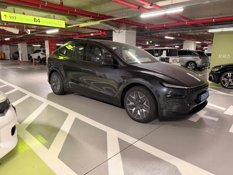 Tesla Model Y — фото 2