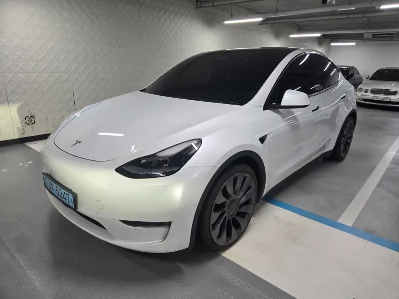 Tesla Model Y — фото