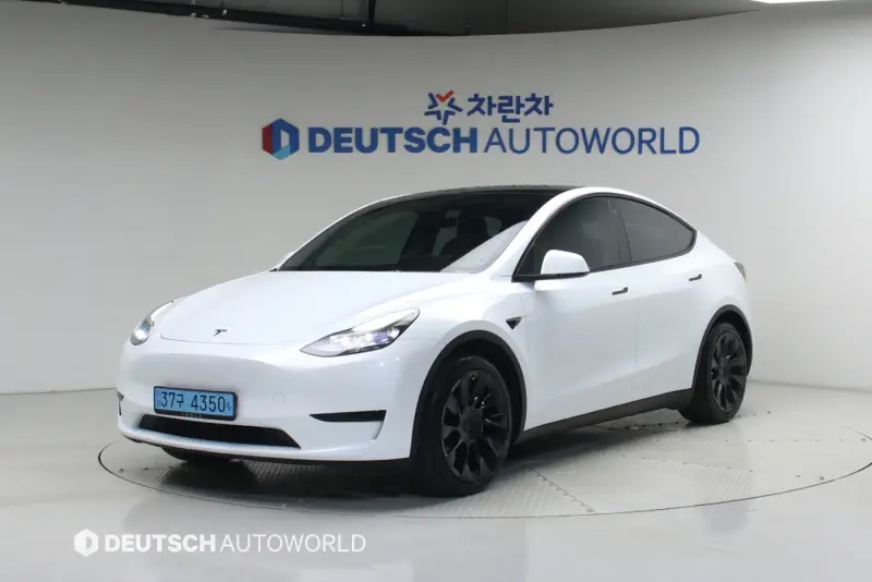 Tesla Model Y — фото