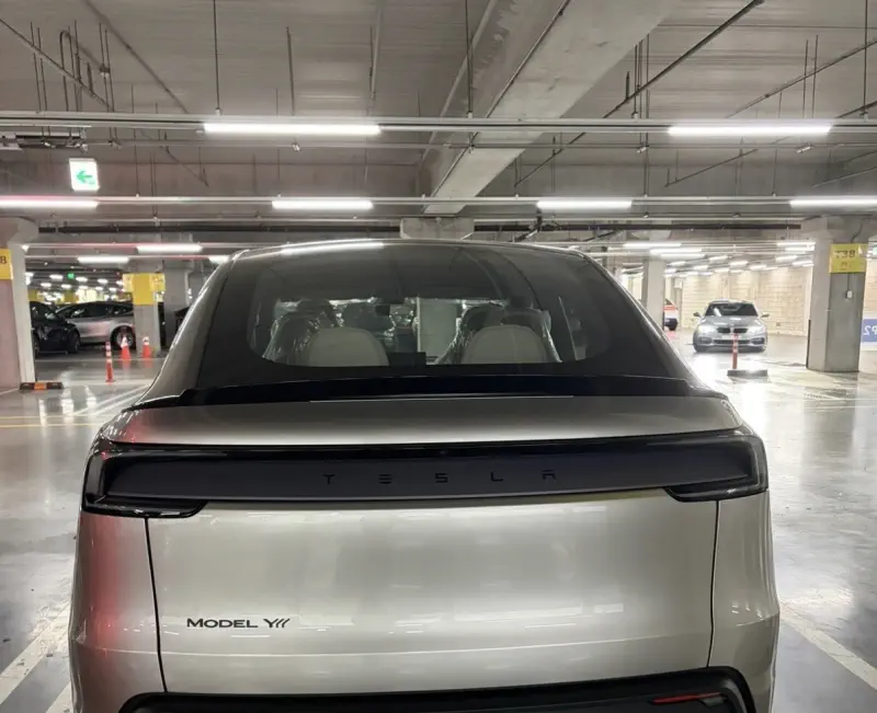 Tesla Model Y — фото 2