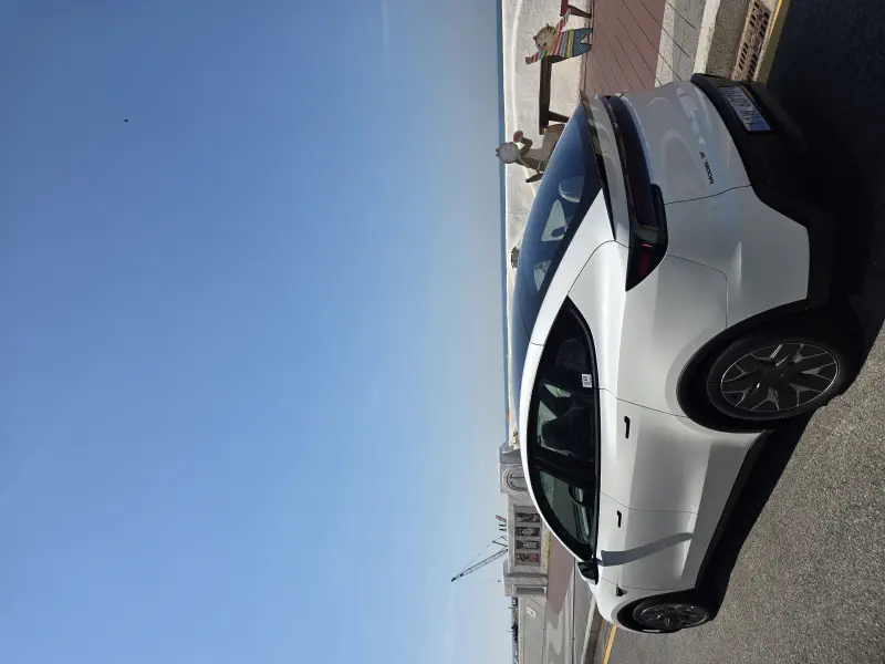 Tesla Model Y — фото