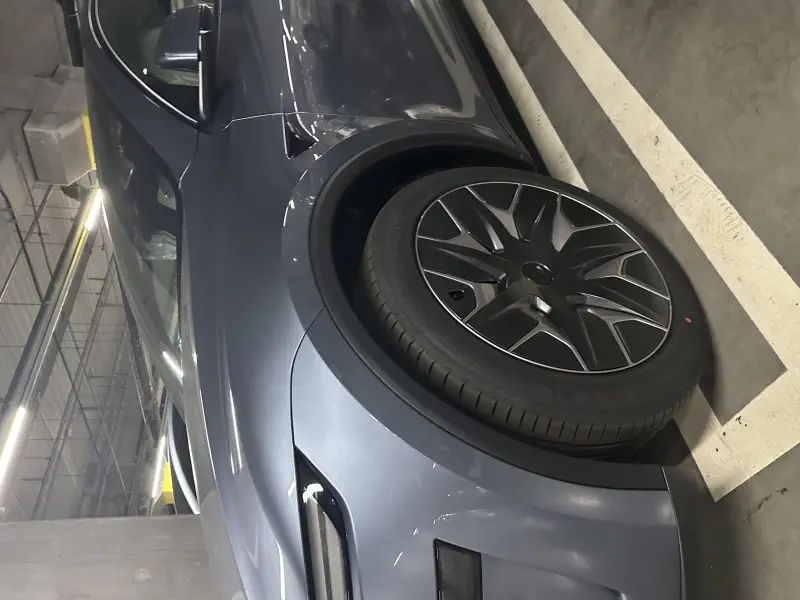 Tesla Model Y — фото
