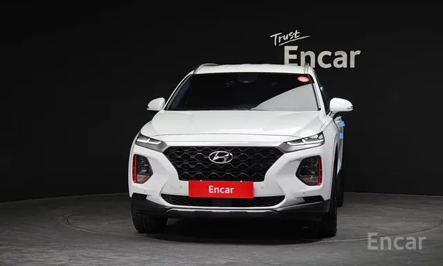 Hyundai · ssantape TM · Diesel 2.2 2WD · igseukeullusibeu · 2019 г. — фото 2