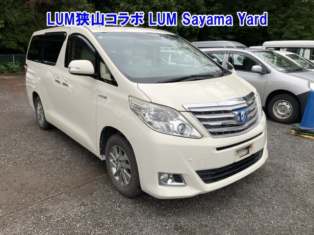 TOYOTA ALPHARD — фото