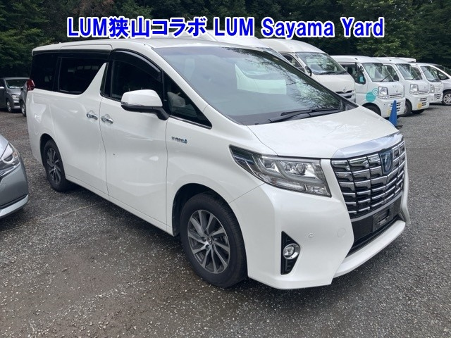 TOYOTA ALPHARD — фото