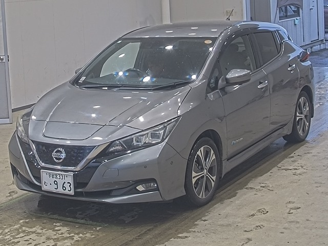 NISSAN LEAF — фото