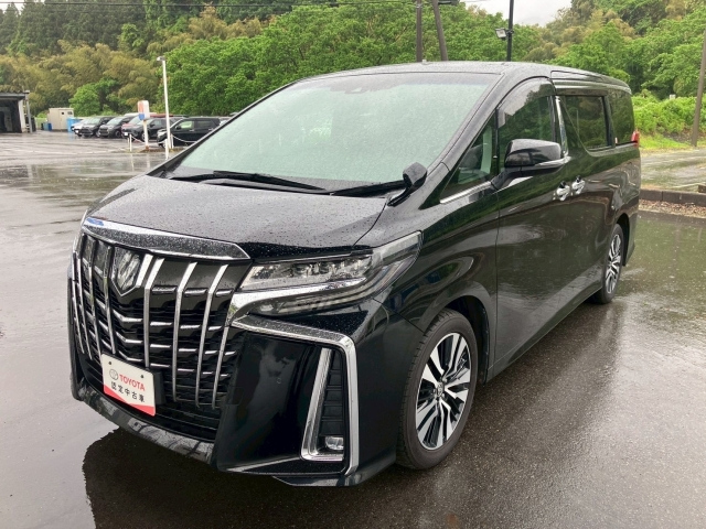 TOYOTA ALPHARD — фото