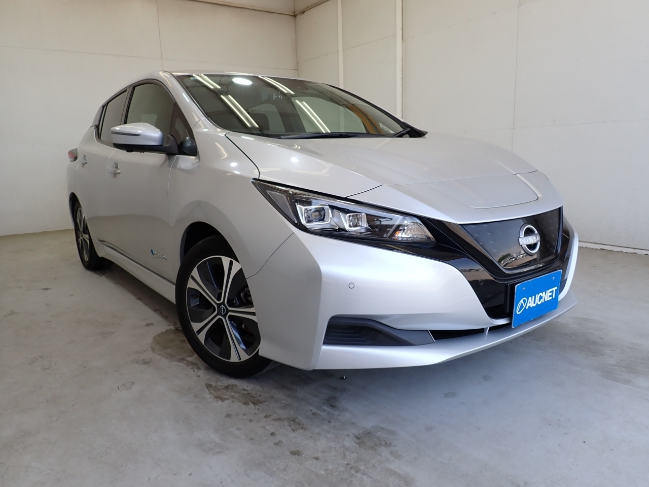 NISSAN LEAF — фото