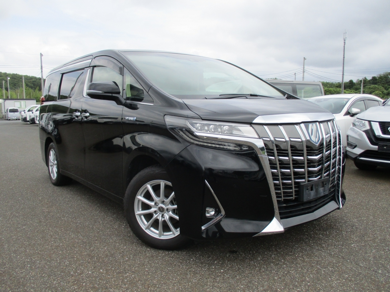 TOYOTA ALPHARD — фото