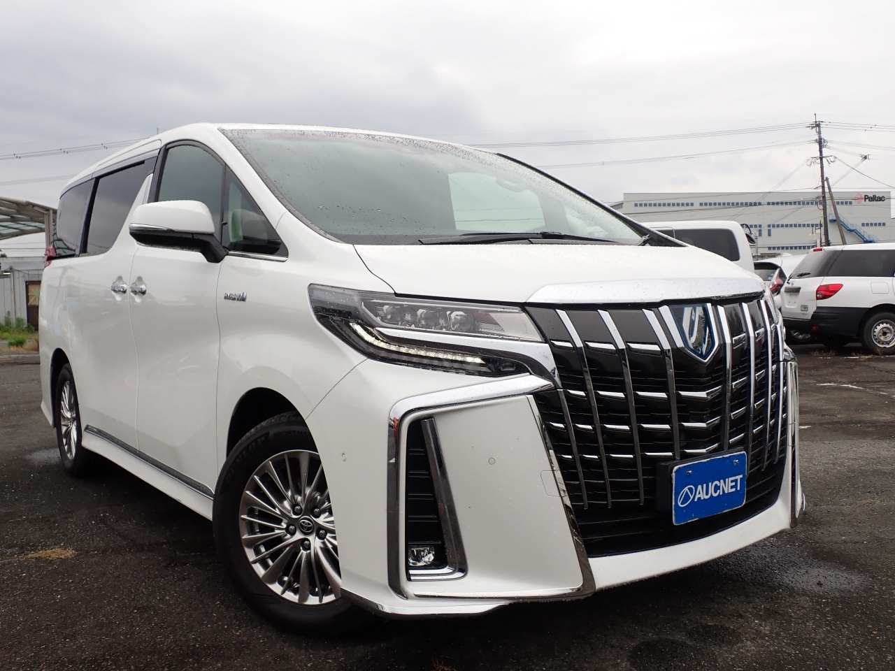 TOYOTA ALPHARD — фото