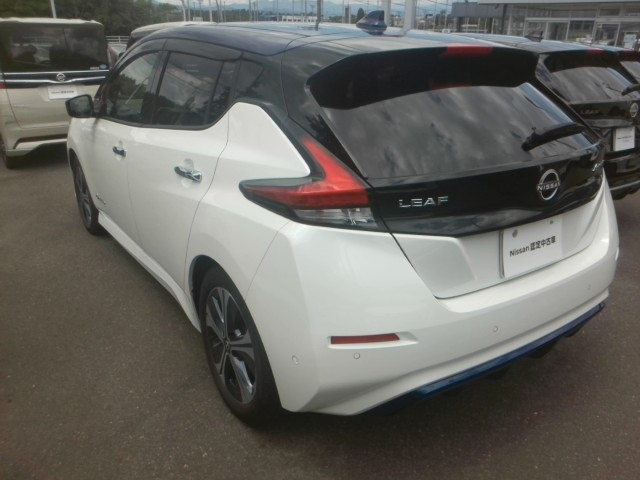 NISSAN LEAF — фото