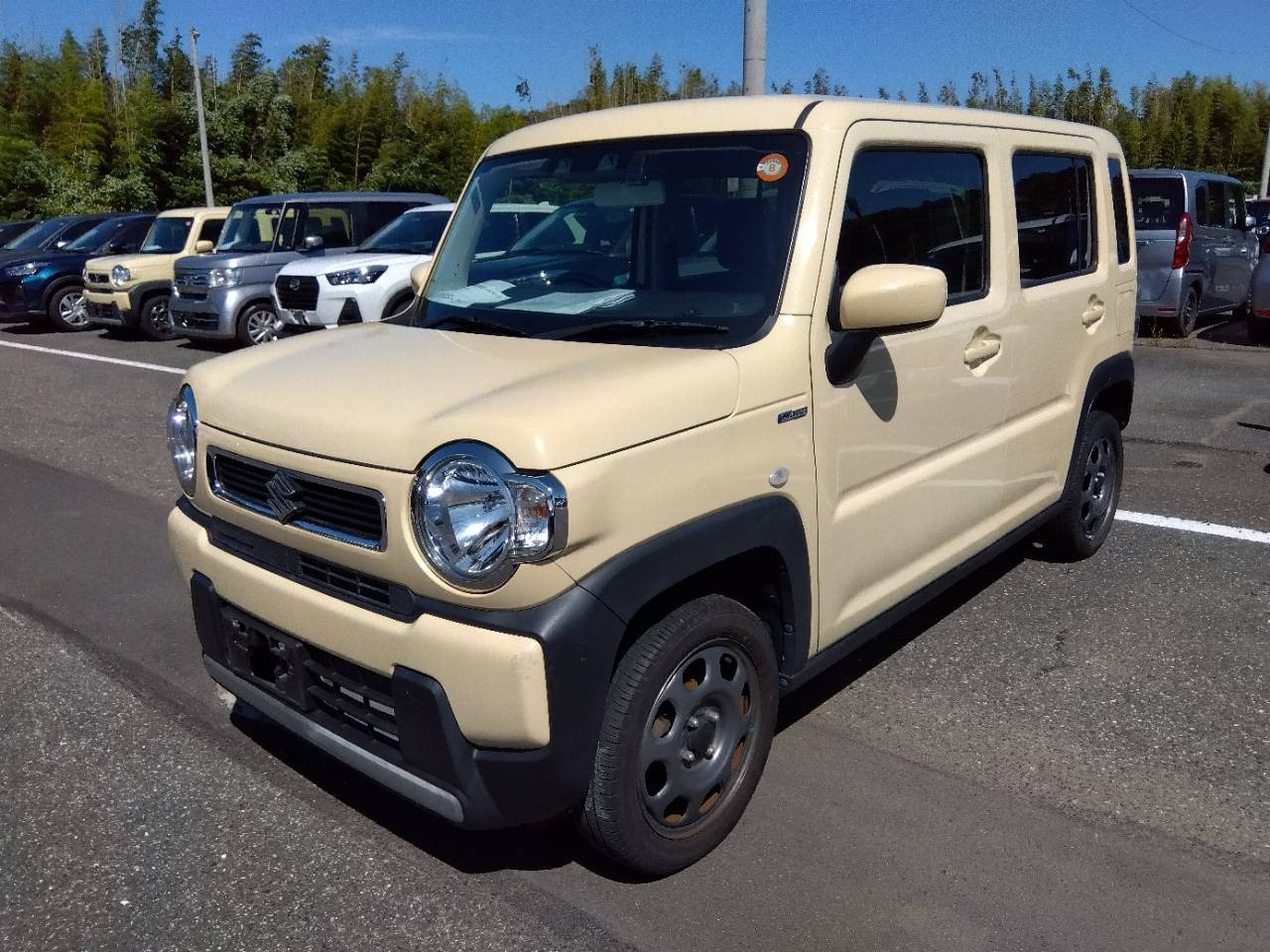 SUZUKI HUSTLER