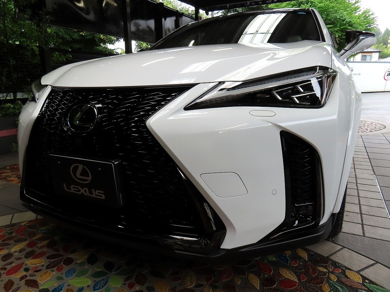 LEXUS UX