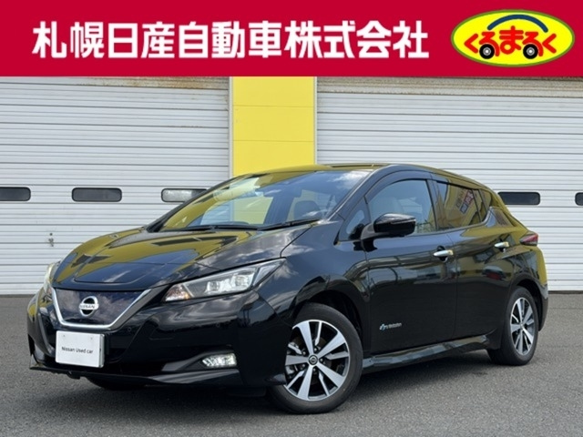 NISSAN LEAF — фото