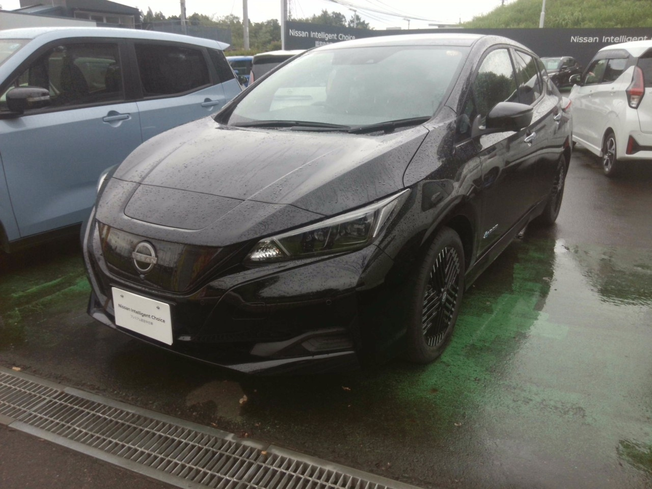 NISSAN LEAF — фото