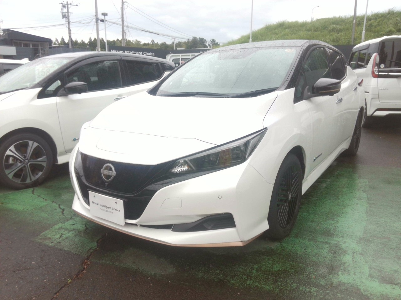 NISSAN LEAF — фото