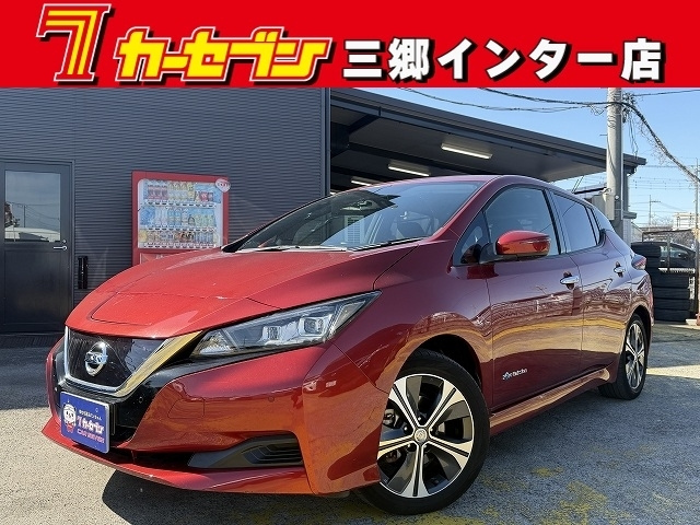 NISSAN LEAF — фото