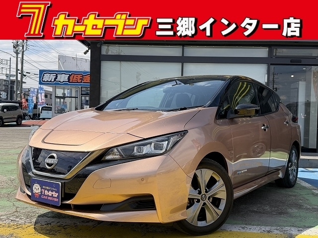 NISSAN LEAF — фото