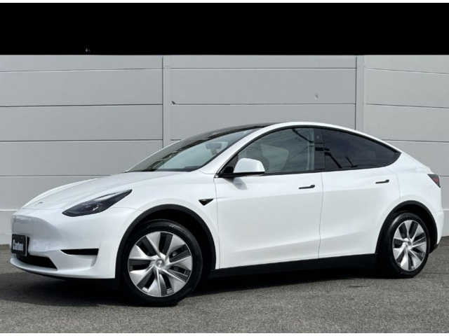 TESLA MODELY — фото