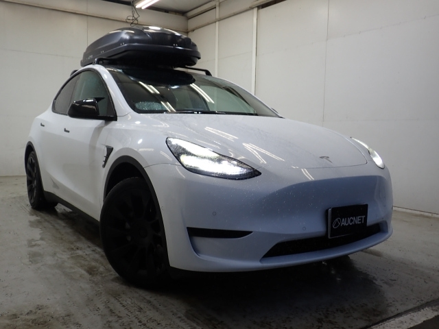 TESLA MODELY — фото