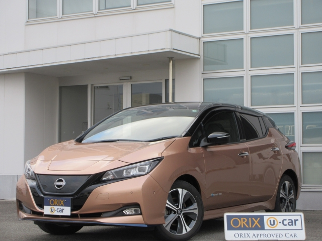 NISSAN LEAF — фото