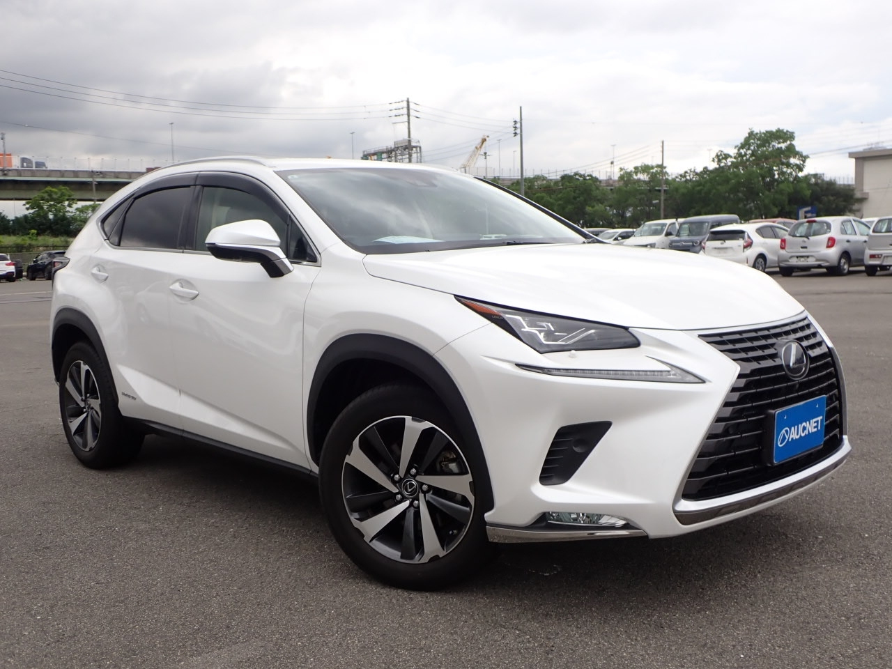 LEXUS NX