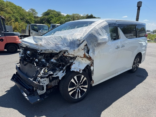 TOYOTA ALPHARD — фото
