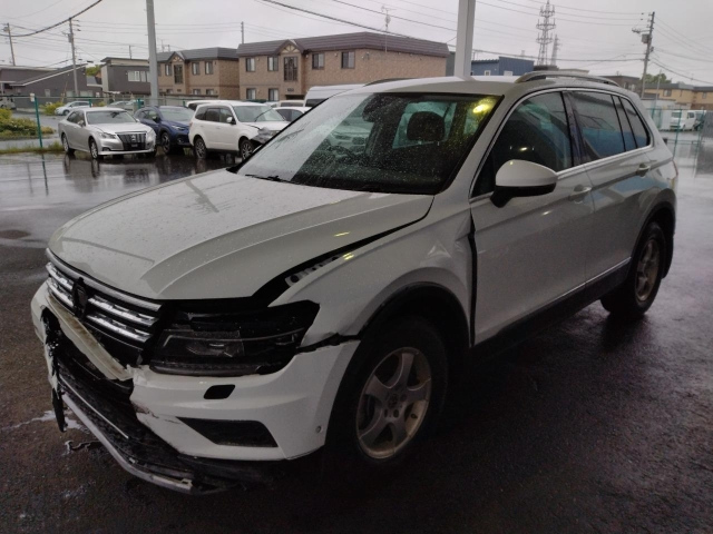 VOLKSWAGEN TIGUAN — фото